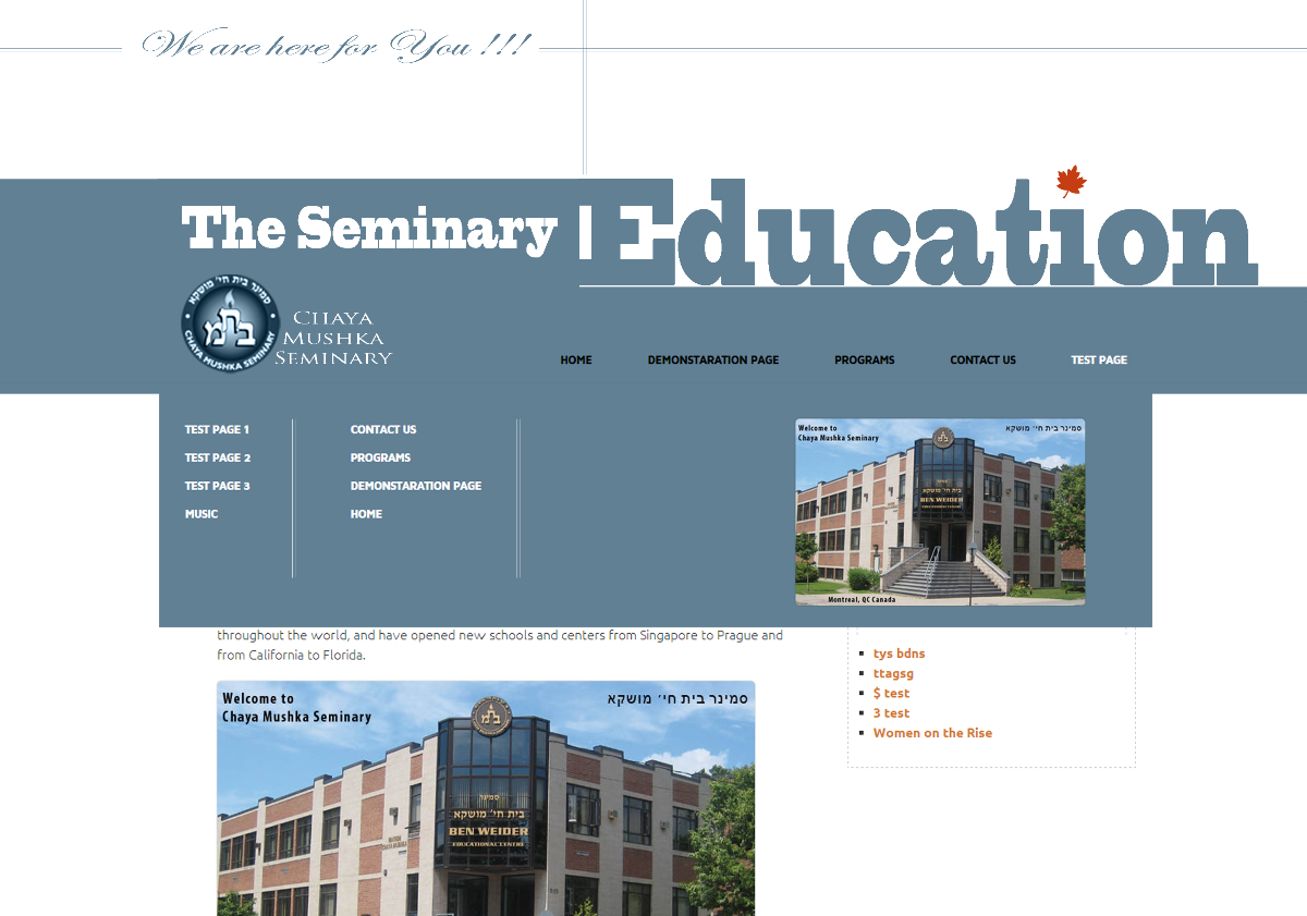 30 The Seminary website design