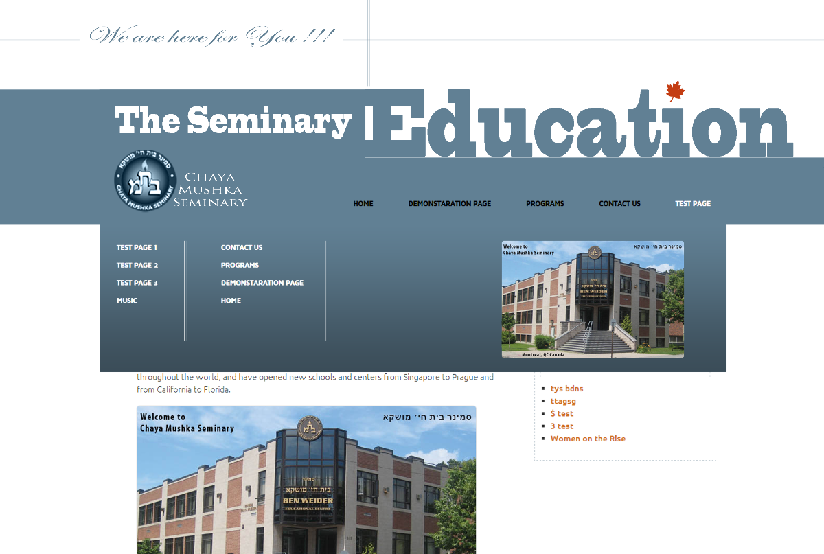 31 The Seminary website design